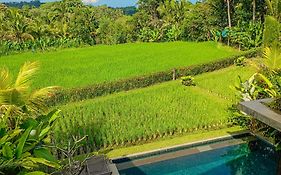 Dukuh Ubud Villa #2 Ricefield View